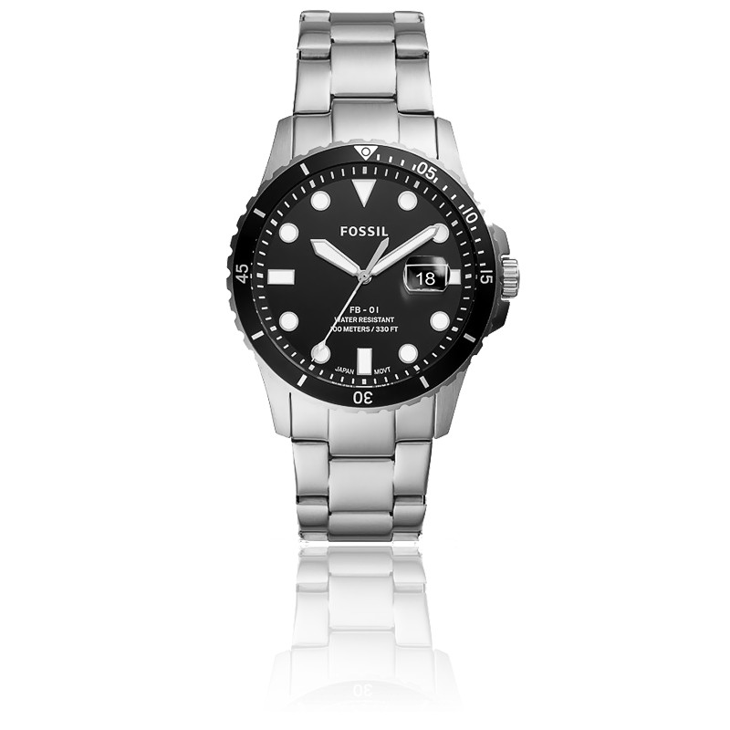 montre fossil acier inoxydable