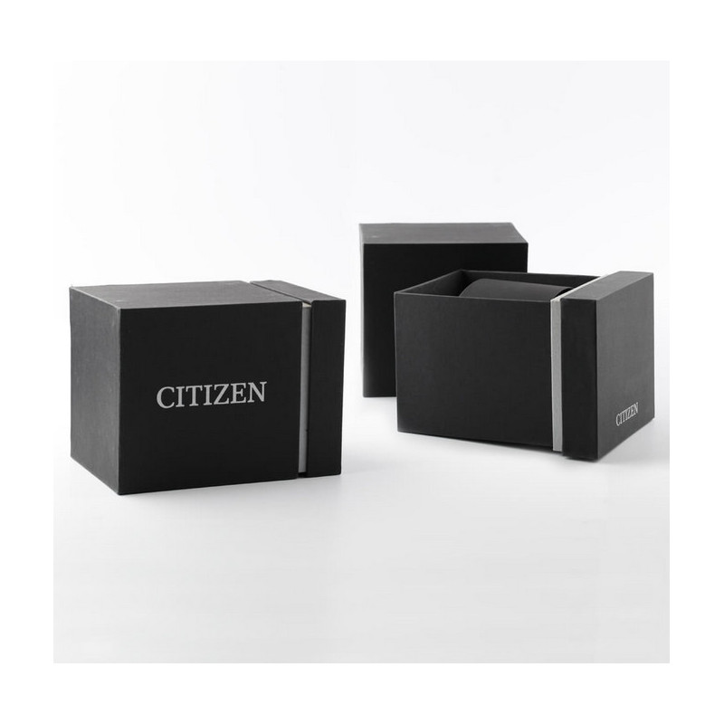 Montre Citizen AW0102-13AC - Citizen
