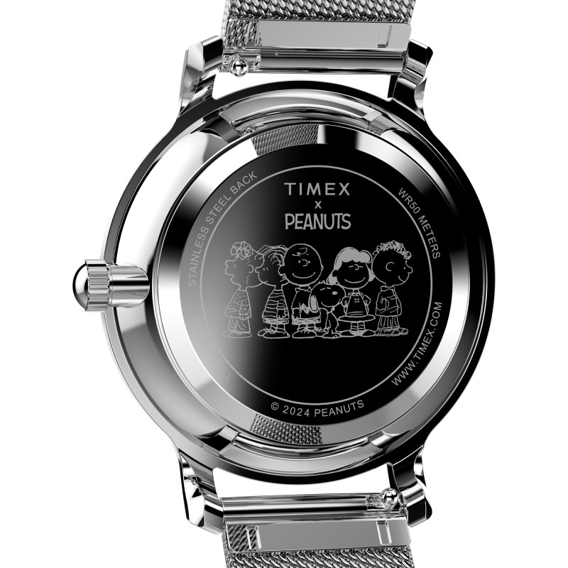 Montre Transcend Peanuts Sketch TW2W46000 - Timex