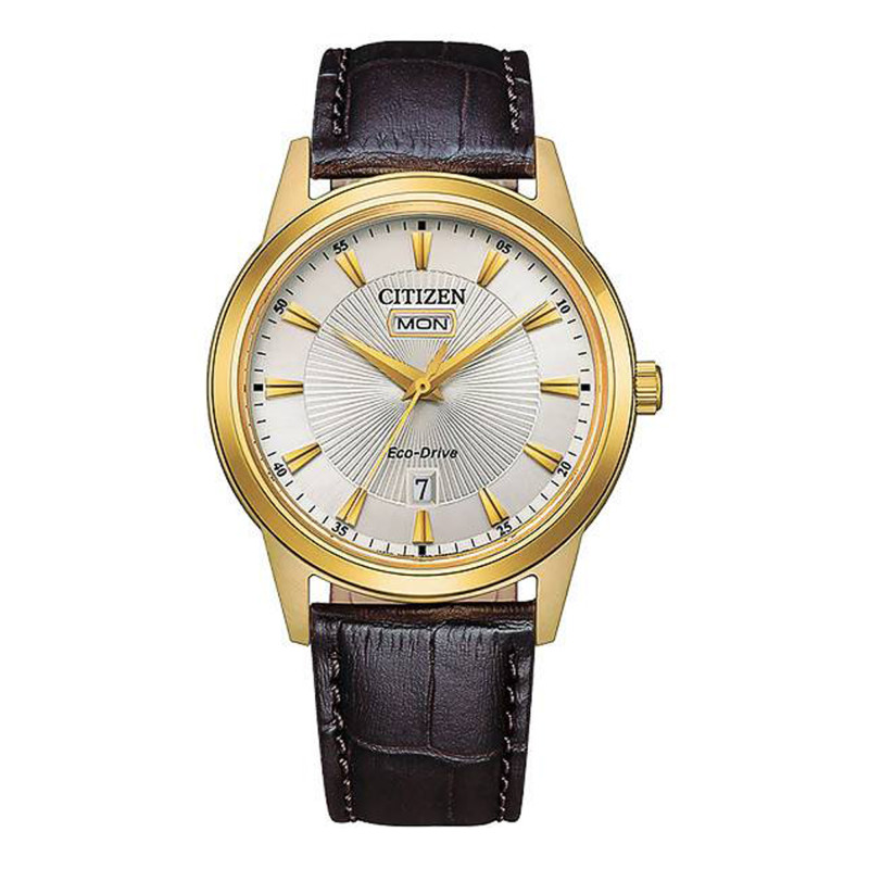 Montre Citizen AW0102-13AC - Citizen