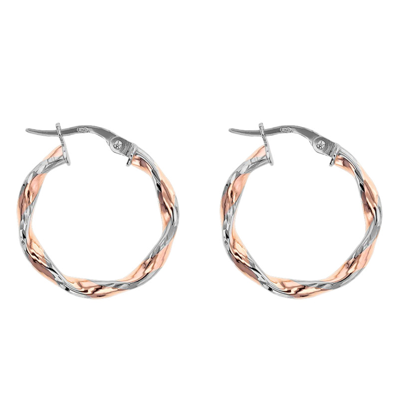 Boucles d'Oreilles Créoles Anneau Torsadé en 2 Ors 375, Diamètre 20 mm - Lucas Lucor