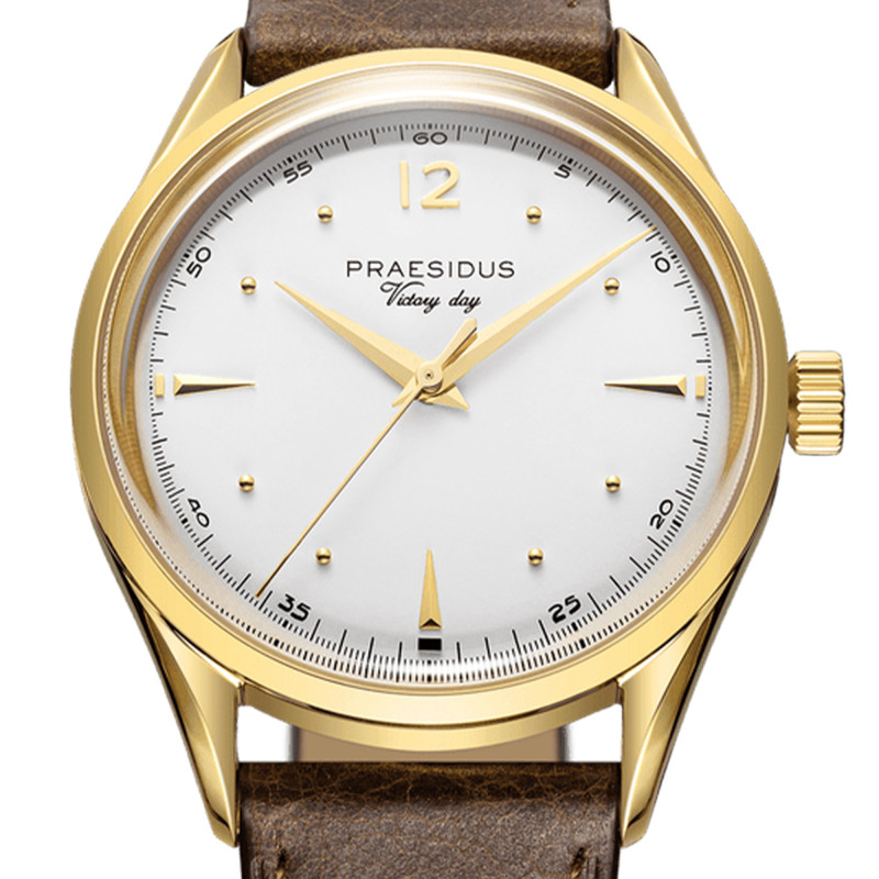 Montre Victory Watch - White Dove P-38-VD-MW-DBRSG - Praesidus
